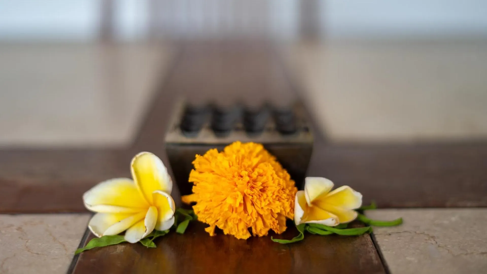 Villa Catalina Seminyak